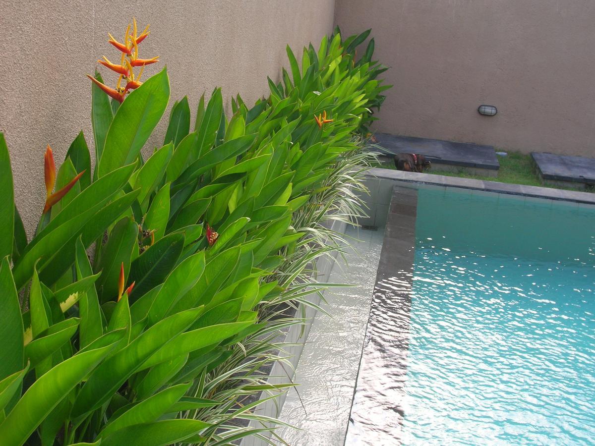 Fruits Villa Sanur  Ngoại thất bức ảnh